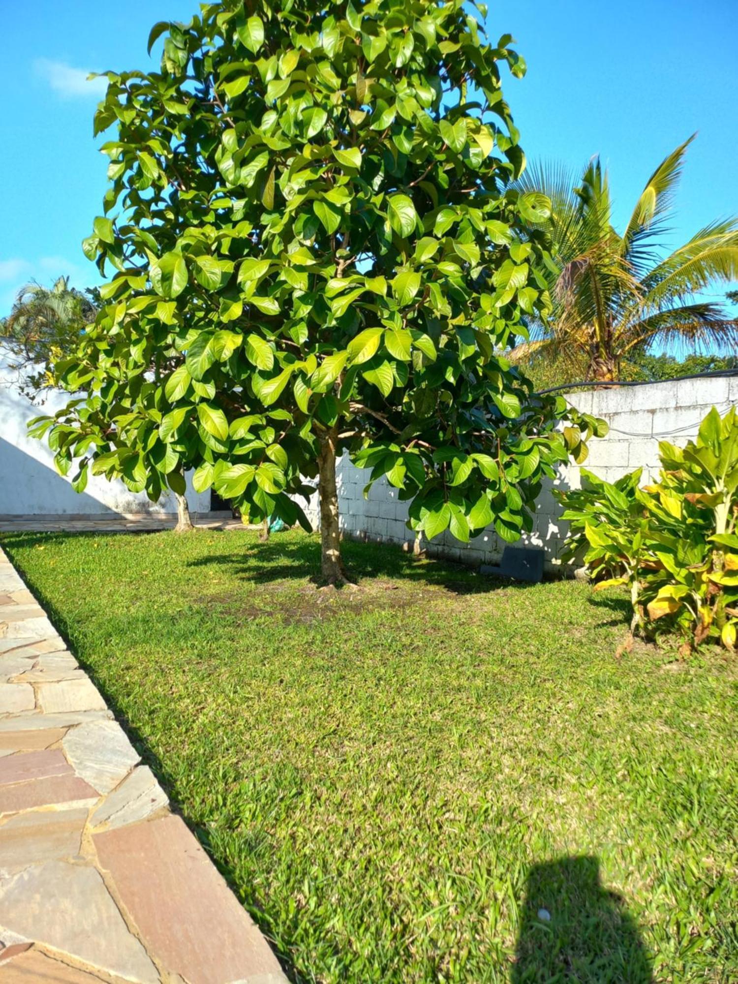 Chacara Sitio Casa Peruibe Praia Eksteriør bilde
